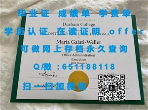 东京大学荣耀成就，学位证书展示