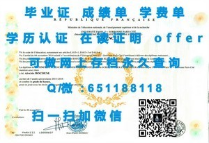 东京情报大学官方成绩单揭秘