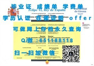 东田纳西州立大学官方成绩单揭秘