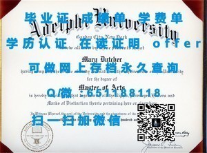 中佛罗里达大学学位证书揭秘