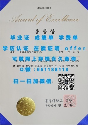中原大学台湾版成绩单概览