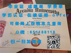 揭秘丹麦南丹麦大学学历证书