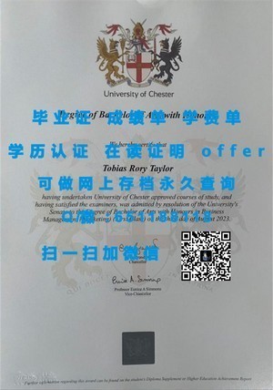 丹麦哥本哈根城市大学官方成绩单解读