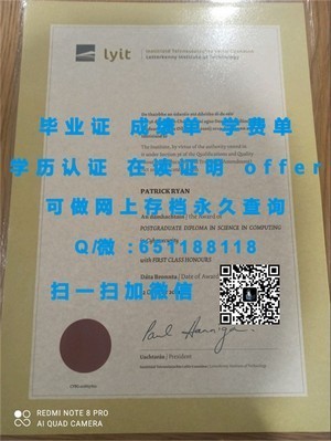 丹麦哥本哈根城市大学文凭解析与价值