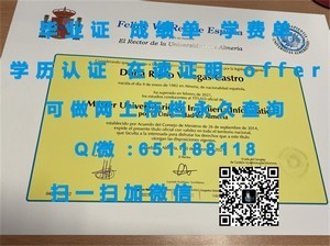 丹麦哥本哈根大学国际认可文凭解析