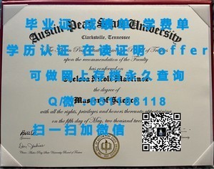 丹麦奥尔胡斯大学学术成绩证明