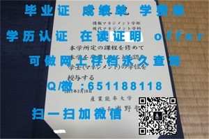 九州国际大学学位证书揭秘