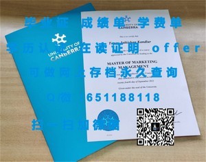 九州大学官方成绩单深度解读