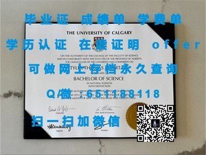 亚冈昆学院官方成绩单发布
