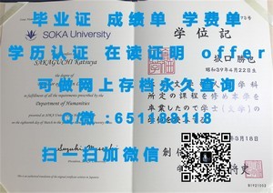 伊利诺伊大学芝加哥分校官方成绩单揭秘