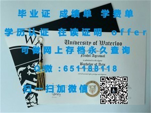 伊利诺斯理工学院官方学位证书揭秘