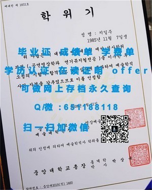 伊利诺伊理工学院官方成绩单揭秘