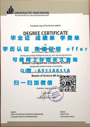 伊利诺伊理工学院文凭，权威认证的学术成就展示