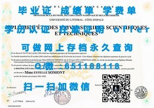 伊尔梅瑙工业大学学生成绩单解析