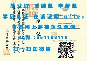 伦敦大学皇家霍洛威学院，国际认可的学术荣耀证书