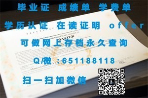 佐贺大学官方成绩单解析