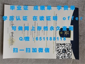 佛罗里达大学文凭，学历成就，国际认可