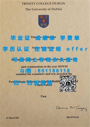 信州大学成绩单解读指南