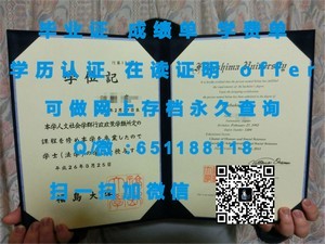 内华达大学文凭，品质与认可的象征