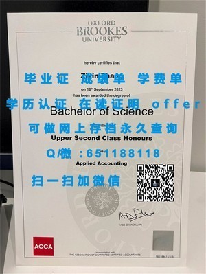 利莫瑞克理工学院文凭，国际认可与就业前景