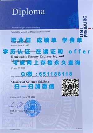 北安普顿大学学位证书揭秘