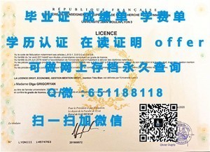 匹兹堡大学学位证书揭秘