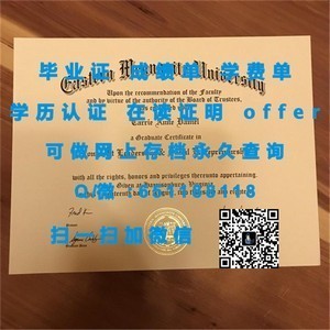 千叶大学学位证书揭秘