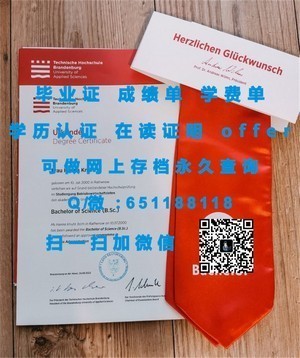 华威大学学位证书，全球认可的学术成就象征