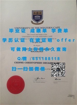 南佛罗里达大学成绩单解读指南