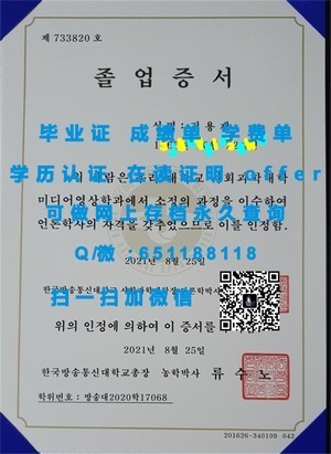 南佛罗里达大学文凭揭秘
