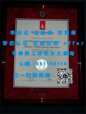 卡毕兰诺学院学生成绩单概览