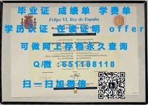 哥本哈根大学文凭，丹麦学术成就的象征