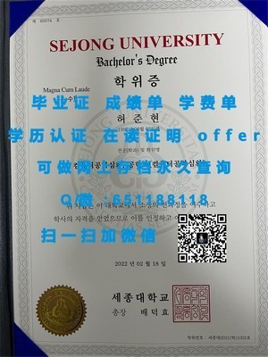 国际认可，揭秘丹麦哥本哈根商学院文凭的魅力