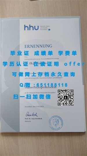 国际通行证，外国语大学文凭的价值与认可