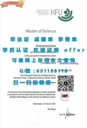 图卢兹第三大学成绩单概览