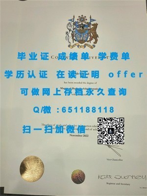 圣玛丽山大学官方成绩单揭秘