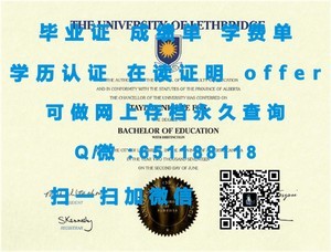 圣马丁大学国际文凭，开启全球就业新篇章