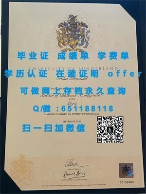 大阪大学学位证书揭秘
