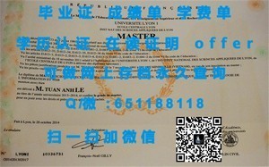 大阪大学官方毕业证书揭秘