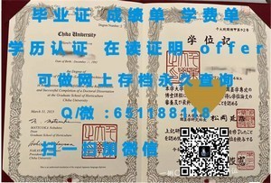 大阪教育大学学位证书揭秘