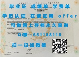 天普大学文凭，学术成就与全球认可的象征