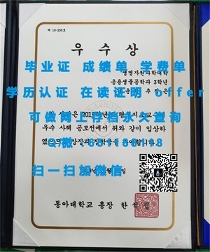 安大略艺术设计学院成绩单揭秘