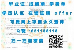 密歇根理工大学官方毕业证书揭秘