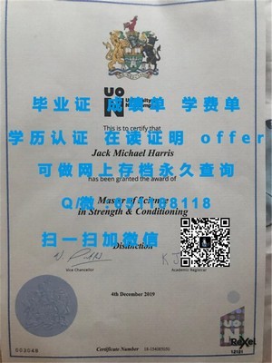 工学院大学学生成绩单概览