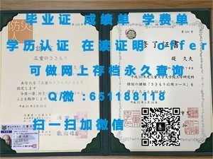 巴黎十三大学学业成绩单揭秘