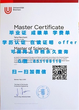 巴黎第十三大学学术成绩单揭秘