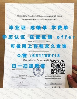 布莱顿大学文凭，国际认可的学术成就证书