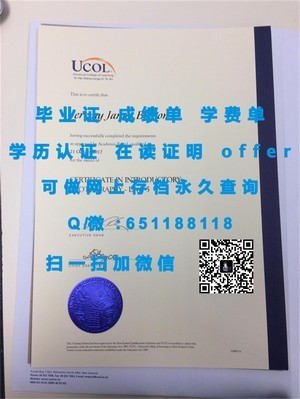 布鲁奈尔大学文凭，品质与价值的象征