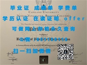 怀卡托理工学院国际认可文凭解析