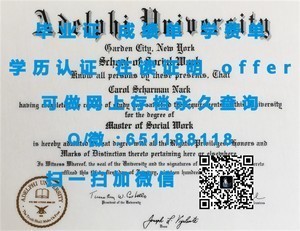 怀卡托理工学院学术成绩单揭秘